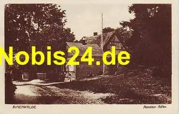 16816 Binenwalde Pension Adler *ca.1915