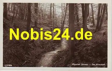 16816 Ruppiner Schweiz  der Binenbach *ca.1955