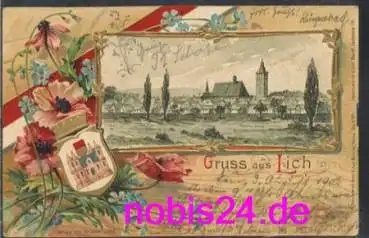 35423 Lich Prägekarte Wappen o 3.8.1902