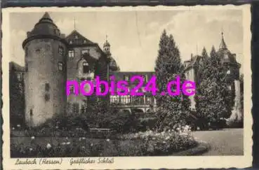 35321 Laubach Hessen Gräfliches Schloss o ca.1960