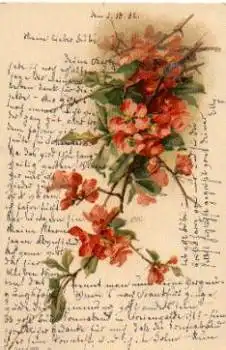 Catharina Klein Blumen Kuenstlerkarte o 3.10.1902