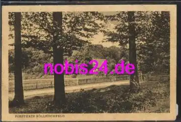 31832 Springe Forsthaus Köllnischfeld o 11.5.1923