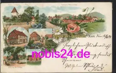 31167 Bornum Litho Bahnhof o 16.11.1898