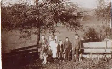 Colly Hund o 22.12.1913