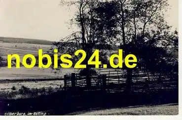 37603 Silberborg im Solling o 3.9.1934