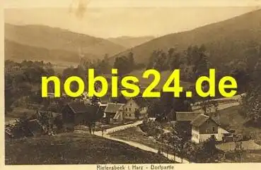 37520 Riefensbeck Harz Dorfpartie *ca.1920