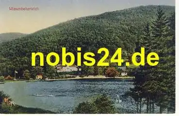 37431 Bad Lauterberg Wiesenbekerteich *ca.1920