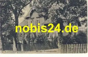37444 St. Andreasberg An der Promenade o 1910
