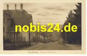 37441 Bad Sachsa vom Pfaffenberg *ca.1920