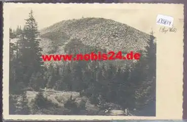 94556 Lusen *ca. 1930