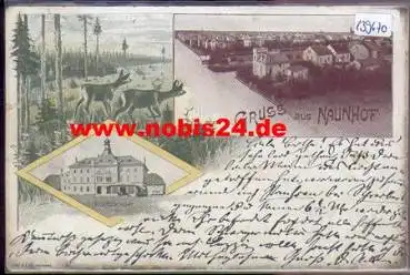 04683 Naunhof Litho o 3.8.1899