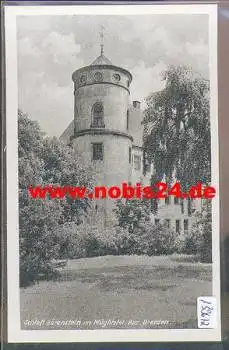 01768 Müglitztal Schloss Bärenstein *ca.1960