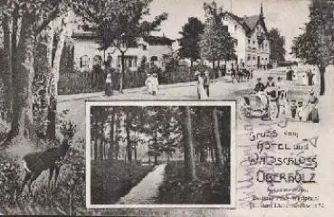 04463 Oberholz Großpösna Hotel und Waldschloss gebr. ca. 1910