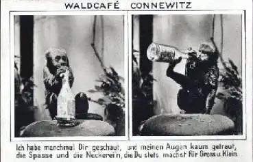 Connewitz Leipzig Waldcafe Affe *ca. 1930