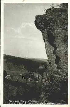09509 Pockau vom Vogeltoffelfelsen in den Hinteren Grund o 1932