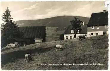 09484 Oberwiesenthal von Unterwiesenthal zum Fichtelberg * ca. 1960