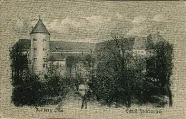 09599 Freiberg Schloss Freudenstein * ca. 1920