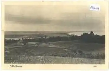 18565 Insel Hiddensee o 11.06.1955
