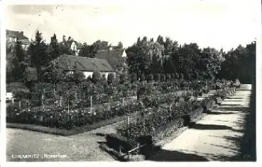 Chemnitz Rosarium o 10.6.1927