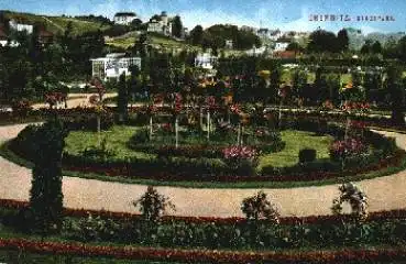 Chemnitz Stadtpark * ca. 1920