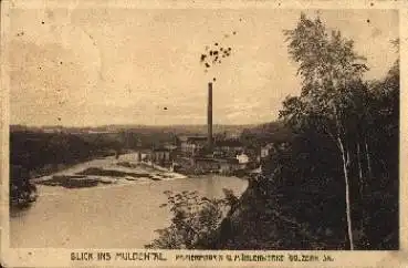 04668 Golzern  Muldental Papierfabrik und Mühlenwerke o 2.8.1929