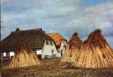 18565 Insel Hiddensee, Fischerhäuser, o ca. 1960