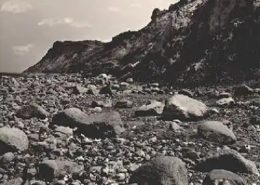 18565 Insel Hiddensee, NW-Seite am Dornbusch o 6.5.1969
