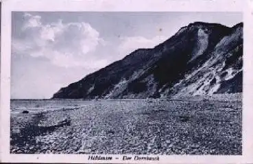 18565 Hiddensee Dornbusch * ca. 1930