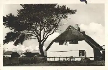 18565 Neuendorf Hiddensee o 13.6.1955