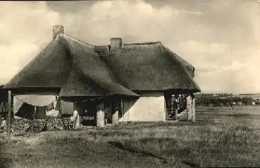 18565 Vitte Hiddensee Haus Paula an Strandpromenade o 15.7.1960