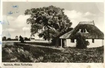 18565 Hiddensee Kleine Fischerhütte o 8.5.1960
