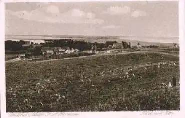 18565 Kloster Hiddensee Blick nach Vitte o 13.8.1924