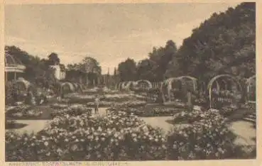 Karlsruhe Rosenanlagen im Stadtgarten * ca. 1910