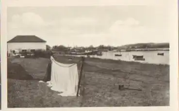 18565 Hiddensee Vitte *ca.1955