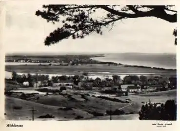 18565 Hiddensee o 10.8.1960