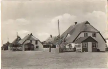 18565 Neuendorf Hiddensee Fischerhäuser o 19.8.1960