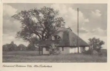 18565 Hiddensee Altes Fischerhaus o 7.8.1951