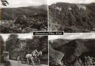 07427 Schwarzburg Pferdekutsche gebr. 26.8.1980