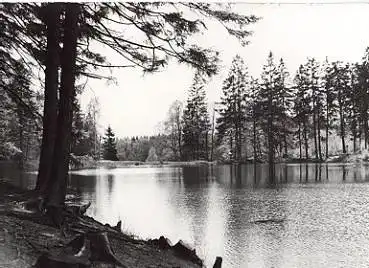 06507 Friedrichsbrunn Flusslandschaft o 10.6.1978