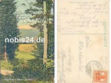 06536 Breitungen Harz o 24.1.1918