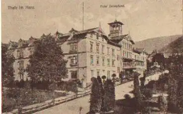 06502 Thale Hotel Zehnfund * ca. 1910