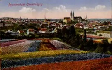 06484 Quedlinburg Blumenfelder, o 31.12.1929