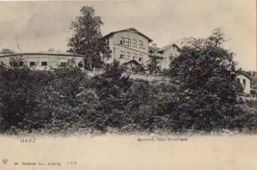 06502 Bodethal Hotel Rosstrappe o 22.8.1904