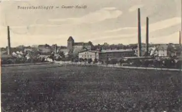 06425 Beesenlaußlingen o 09.11.1912