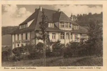 01816 Bad Gottleuba Pension Gesundborn in Villa Annemarie *ca. 1930