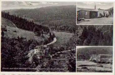 01816 Haselberg Waldidyll Forsthaus Notbau Nach dem Unwetter o 26.12.1936