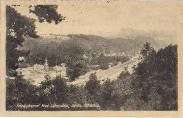 01814 Bad Schandau *ca. 1920