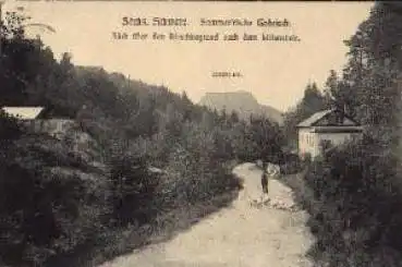 01824 Gorhisch  Hirschkegrund nach dem Lilienstein o 28.7.1912