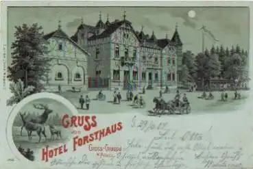 01796 Gross-Graupa Pirna Hotel Forsthaus Mondscheinlitho o  1907