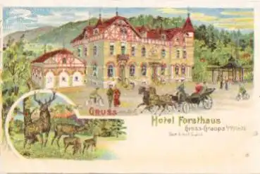 01827 Gross-Graupa Hotel Forsthaus, Farblitho *ca. 1900